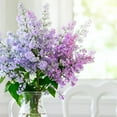 thumbnail image 9 of Hydrangea or Lilac Shrubs 2 pk., 9 of 15