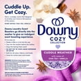 thumbnail image 6 of Downy Cozy Collection In-Wash Laundry Scent Booster Beads, Cuddle Weather, 28.3 oz., 6 of 7