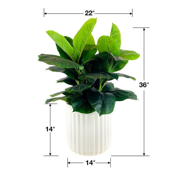 LCG Sales Artificial Premium Rubber Plant in Fluted Off White Pot 36':- 36'