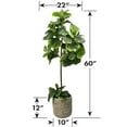thumbnail image 6 of Faux 60" Fig Floor Plant in Roped Basket, 6 of 6