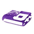 thumbnail image 5 of Logo Brands East Carolina Pirates 60"x70" Super Plush Blanket, 5 of 6