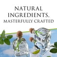 thumbnail image 4 of Patron Silver Tequila, 750 ml, 4 of 8