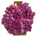 thumbnail image 3 of Member's Mark Illusion Roses, 96 stems, Choose color variety, 3 of 7