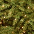 thumbnail image 4 of National Tree Company 10' Dunhill Fir Pre-Lit Christmas Tree, 4 of 8