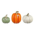 thumbnail image 2 of Member's Mark Decorative Pumpkins, Set of 3, 2 of 3