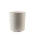 thumbnail image 5 of Costa Farms 10" Tropical Foliage Plant in Decorative Pot, 5 of 9