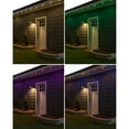 thumbnail image 7 of EcoScapes by Enbrighten 24' Outdoor Wi-Fi Color-Changing LED Café String Lights, 12 Bulbs, 7 of 9