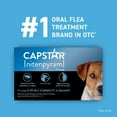 thumbnail image 4 of PetArmor Plus Capstar Flea & Tick Bundle for Small Dogs, 3-Month Supply, 5-22 lbs., 4 of 7