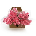 thumbnail image 4 of Member's Mark Mini Carnations, Choose color and stem count, 4 of 5