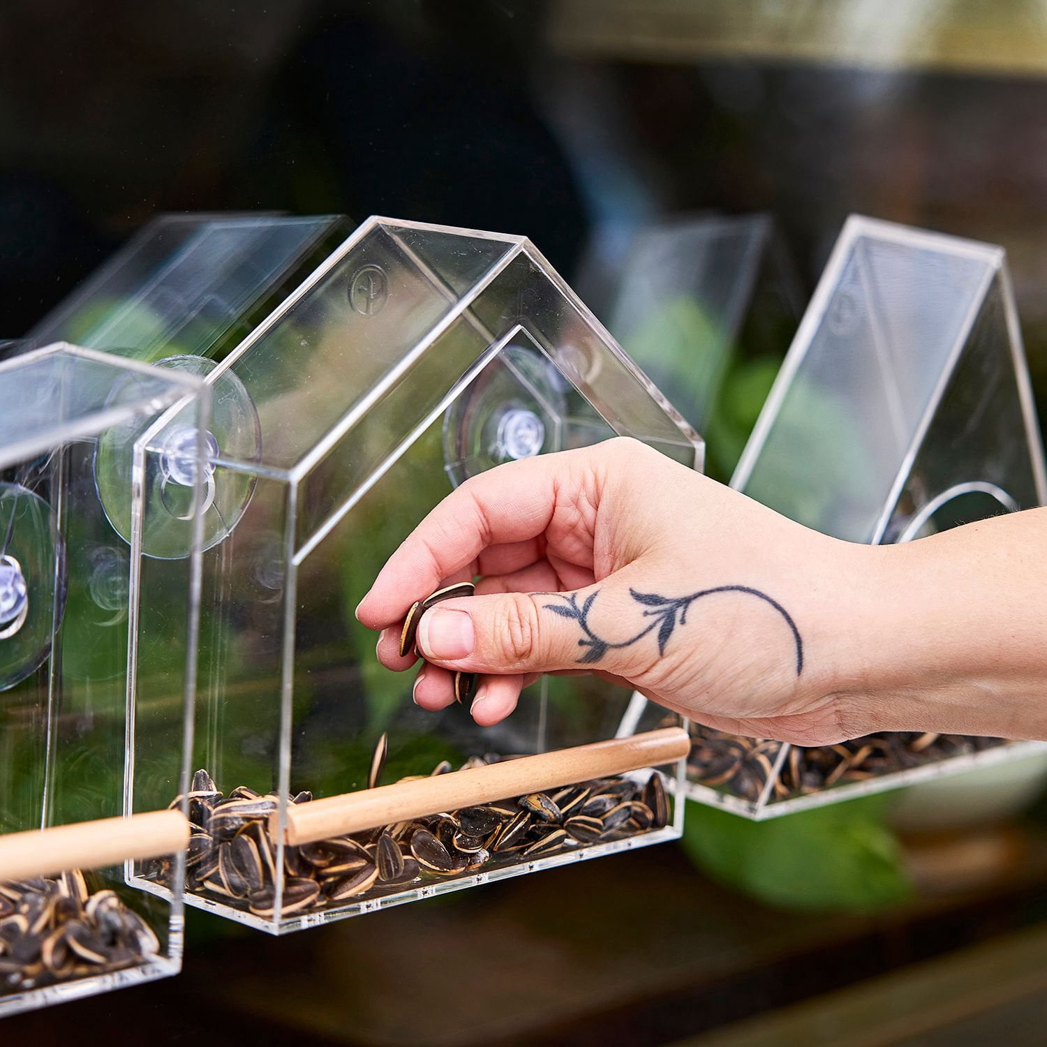 Modern Sprout Bird Village, 3-Pack - Samsclub.com