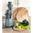thumbnail image 4 of Cuisinart Easy Clean Slow Juicer, 4 of 5
