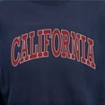 thumbnail image 6 of State of Mine Varsity Arch State Fleece Sweatshirt, 6 of 7