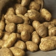 thumbnail image 4 of Member's Mark Seed Potatoes, 24pk, 4 of 10