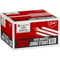 thumbnail image 1 of Member's Mark Jumbo Translucent Wrapped Plastic Straws, 7.75" 3000 ct., 1 of 7