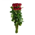 thumbnail image 5 of Member's Mark Ecuadorian Premium Roses, choose color variety and stem count, 5 of 8