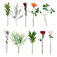 thumbnail image 5 of Member's Mark Farm Fresh Rose Bouquet, 28 stems, choose color, 5 of 8