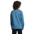 thumbnail image 3 of Quiksilver Boys French Terry, 3 of 6