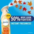 thumbnail image 4 of Febreze Air Mist Air Freshener Spray, Fall Mixed Scent, 4ct., 32.4 oz., 4 of 10