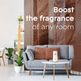 thumbnail image 10 of Glade Automatic Spray Air Freshener Refills, Cashmere Woods, 4 ct., 10 of 11