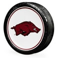 thumbnail image 6 of Collegiate Round Paper Plates, 10", 85 ct., Choose Your Team, 6 of 6