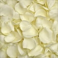 thumbnail image 1 of Member's Mark Fresh Rose Petals, 3000 ct., Choose color variety, 1 of 1