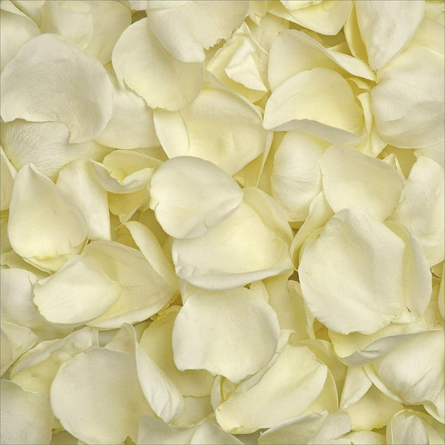Member's Mark Fresh Rose Petals, 3000 ct., Choose color variety