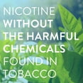 thumbnail image 4 of Member's Mark Nicotine Uncoated Gum, Original Flavor, 190 ct., 2 pk., 4 of 8