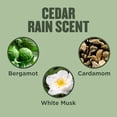 thumbnail image 10 of Gold Bond Scented Hand Cream, Variety, 3 oz., 3 pk., 10 of 12