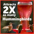 thumbnail image 5 of Pennington Hummingbird Feeder and Nectar Kit, 5 of 9
