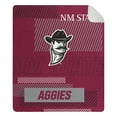 thumbnail image 2 of Officially Licensed NCAA Cloud Throw Blanket with Sherpa Back, 60" x 70", 2 of 4