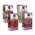 thumbnail image 1 of Member's Mark Boxed Spring Flower Bulbs, 1 of 7