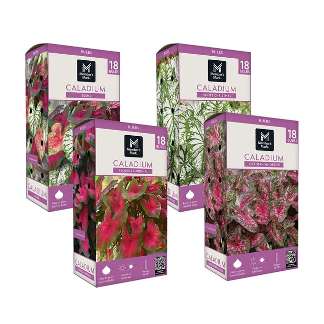 Member's Mark Boxed Spring Flower Bulbs