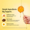 thumbnail image 4 of BeeKeeper's Naturals Kid's Propolis Throat Soothing Pops, 30 ct., 4 of 10