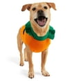 thumbnail image 3 of Free Country Halloween Dog Sweater, 3 of 6