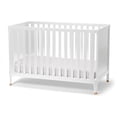 thumbnail image 1 of Little Seeds Aster 4-in-1 Convertible Crib, Choose Color, 1 of 10