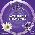 thumbnail image 4 of Air Wick Plug In Essential Oil Air Freshener Refills, Lavender & Chamomile, 9 refills, 4 of 11