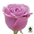 thumbnail image 1 of Member's Mark Fair Trade Roses, 75 stems, Choose color variety, 1 of 5