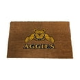 thumbnail image 1 of Logo Brands North Carolina A&T Aggies Doormat, 1 of 5