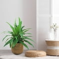 thumbnail image 4 of Faux 42" Dracaena in Handwoven Boho-Style Basket, 4 of 4