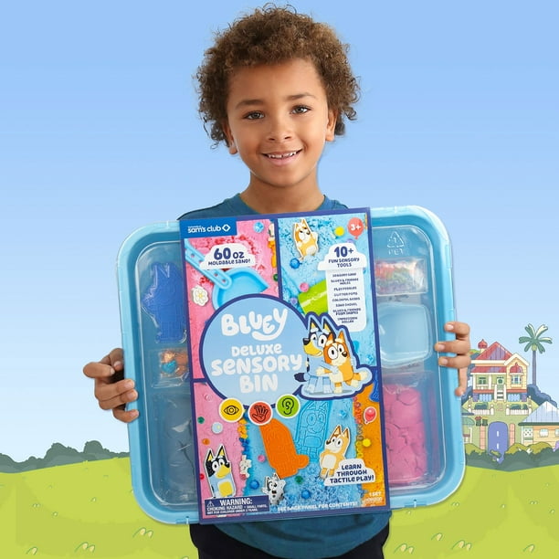 Bluey Heeler Family Sensory Bin with Reusable Play Case & Storage