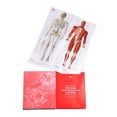 thumbnail image 4 of Sam's Exclusive - The Human Body Book, Hardcover, 4 of 5