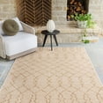 thumbnail image 1 of Balta Marion Indoor/Outdoor Area Rug, Choose Size, 1 of 6