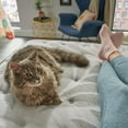 thumbnail image 4 of Sealy Posturepedic Spring Somers Eurotop Medium Feel Mattress, 4 of 9