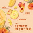thumbnail image 8 of Febreze Air Effects Air Freshener Spray, Hawaiian Aloha & Ocean, 4 ct., 35.2 oz., 8 of 9
