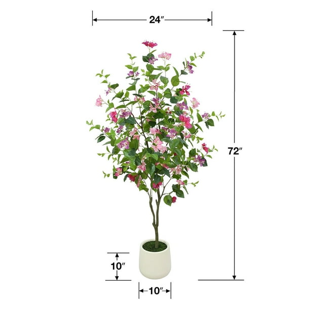 olivenbäume xxl Olivenbaum XXL-Größe kaufen main image 0