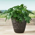 thumbnail image 1 of Member's Mark 22" Garden Planter, 1 of 6