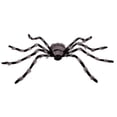 thumbnail image 4 of Member's Mark 6' Pre-Lit Oversized Spider, 4 of 5
