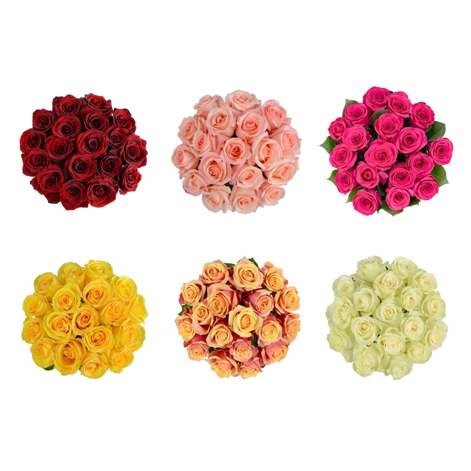 Member's Mark Premium Roses, 18 stems, color and variety may