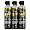 thumbnail image 1 of Raid Wasp & Hornet Killer 3ct, 17.5 oz., 1 of 17