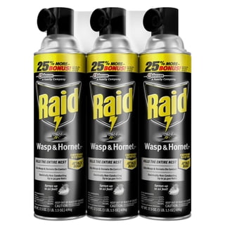 Raid Wasp & Hornet Killer 3ct, 17.5 oz.